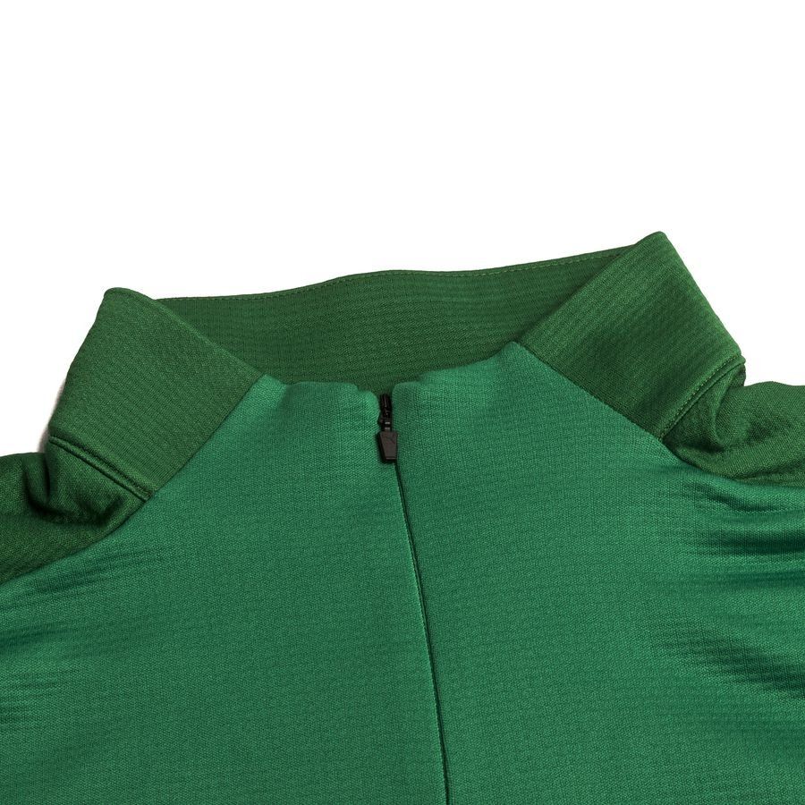 PUMA Maillot d'Entraînement teamGOAL 23 Fermeture Éclair 1/4 - Vert/Vert