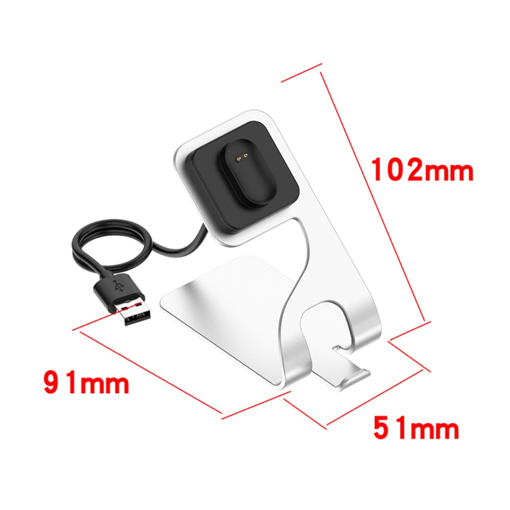 2in1 Fitbit Inspire / Inspire HR / Ace 2 Dockingstation Halterung mit USB Ladegerät - Silber