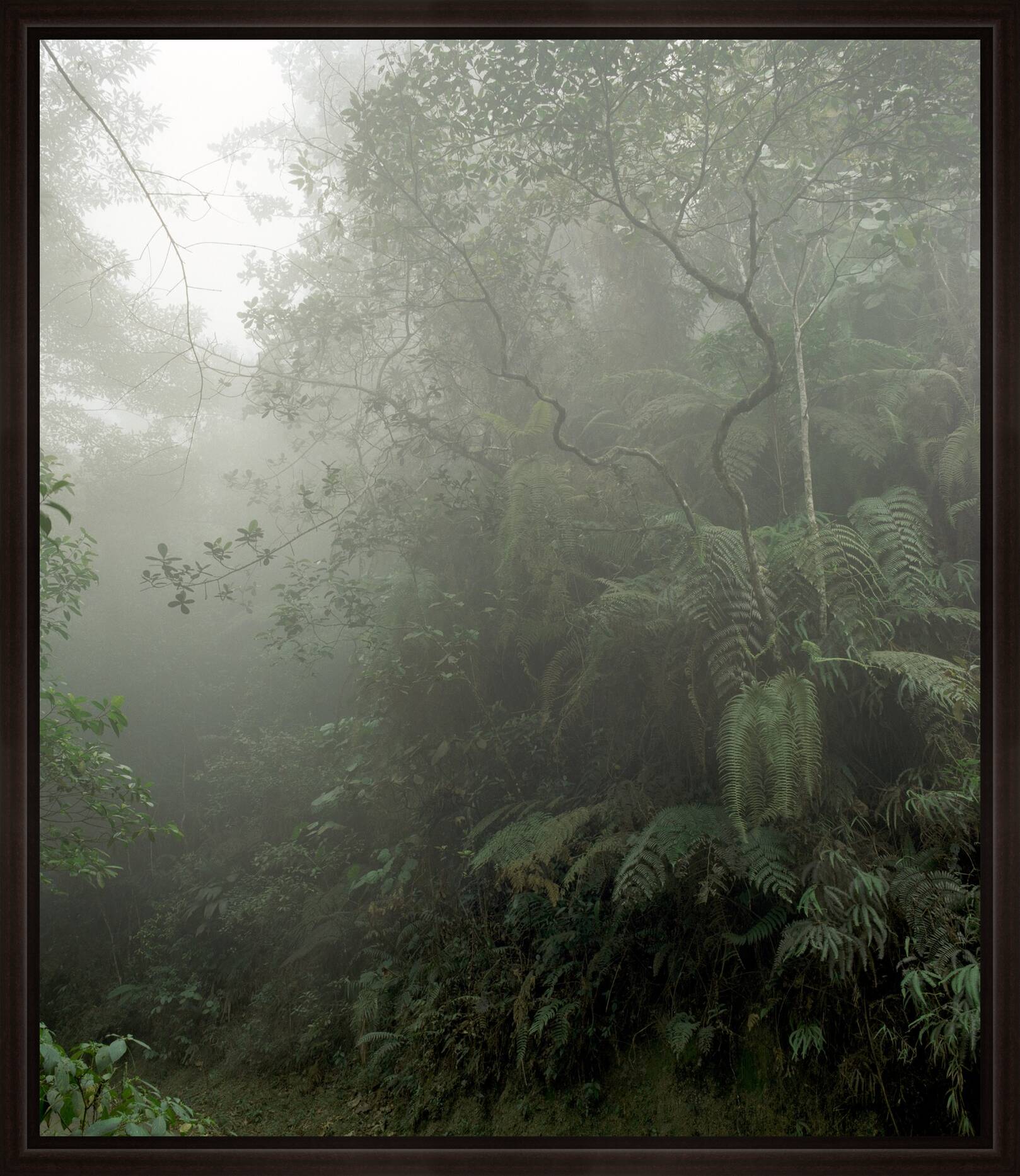 O.T. (Eldorado IV) by Stephanie Kloss - Limited Edition. Edition of: 100. Signed.