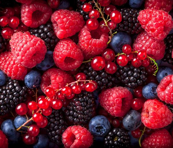 Bio Beeren-Set Lieblingsobst, 4-teilig