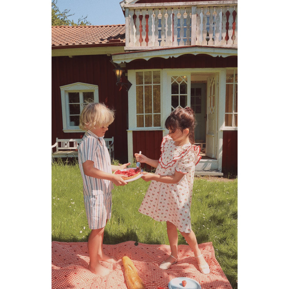 Køb Flöss Red/Blue stripes Miles Shorts