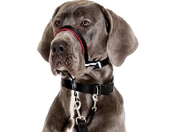 Halti OptiFit snudesele, sort, Medium Hals: 42-54 cm
