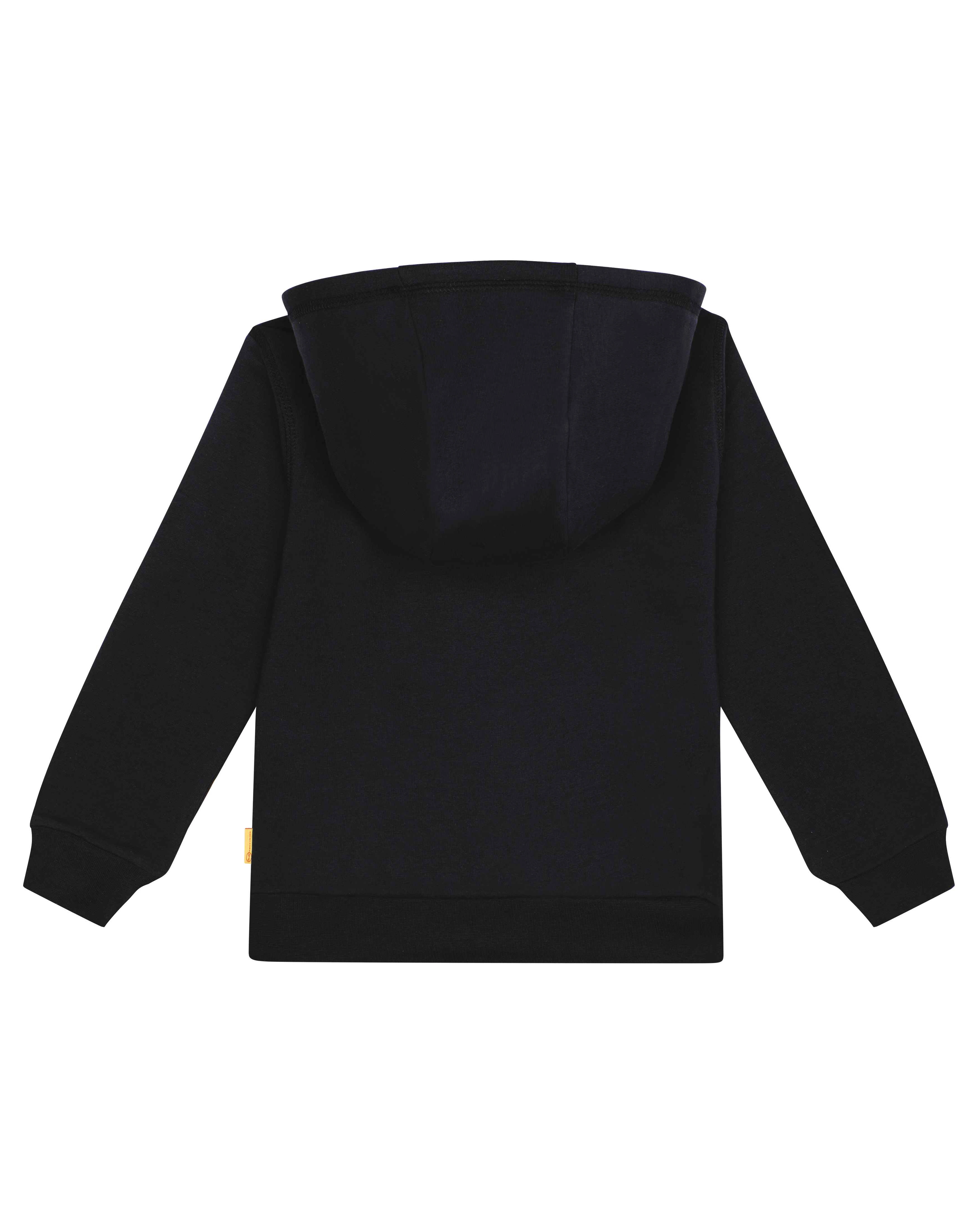 Kapuzen-Sweatshirt DRAGON'S FIRE in navy