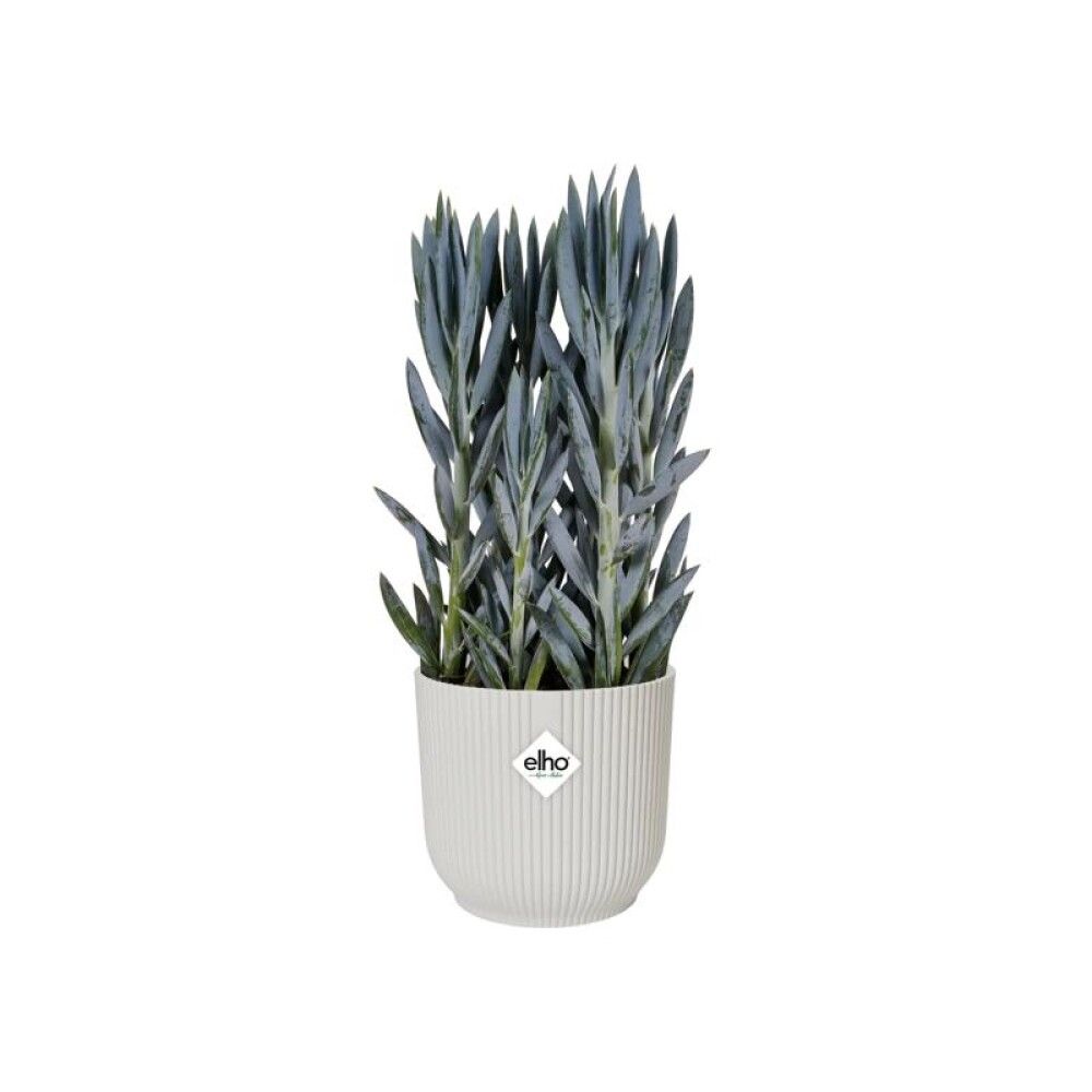 INNEPOTTE ELHO VIBES FOLD ROUND MED HJUL Ø35CM HVIT