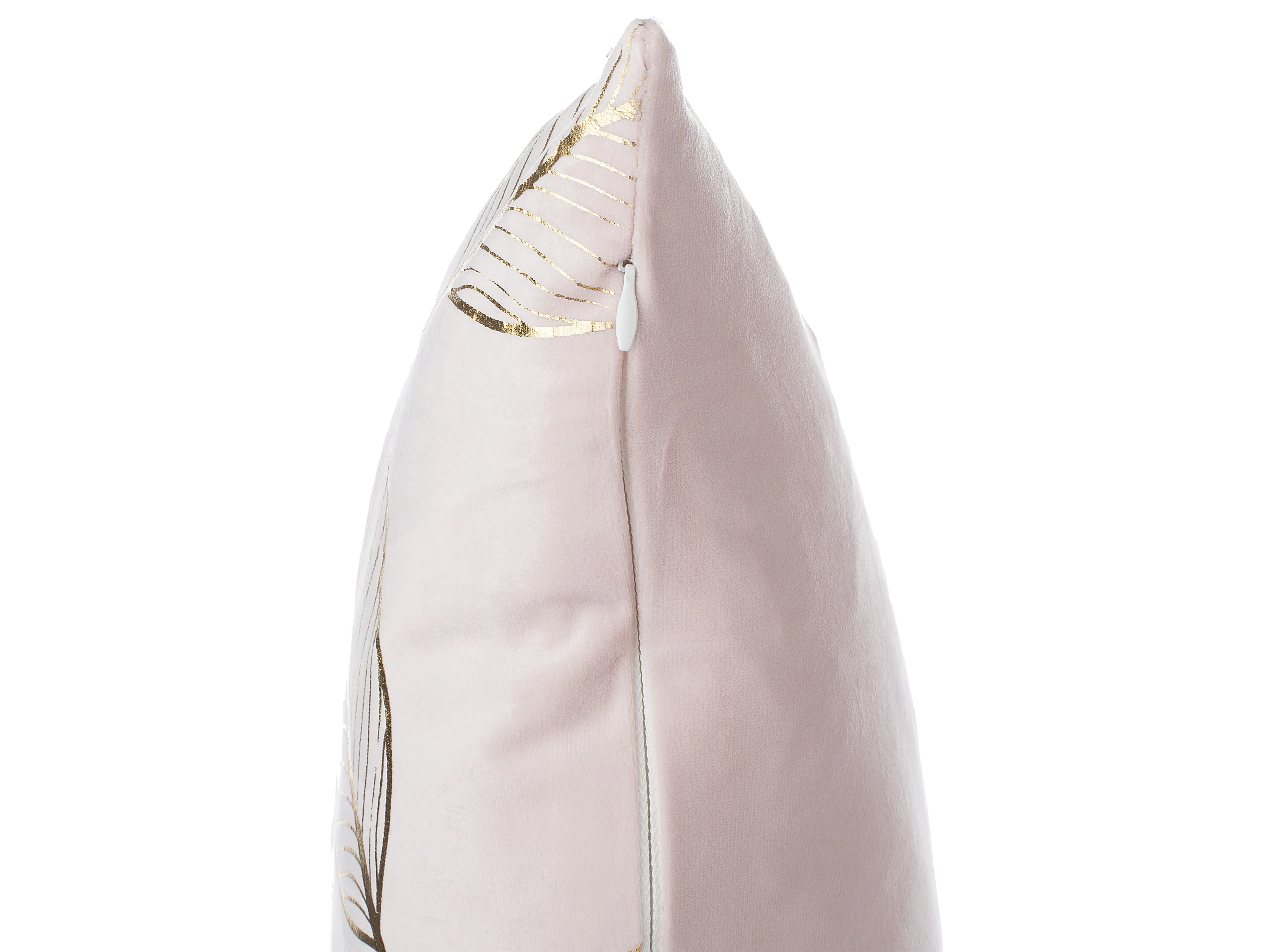 Set van 2 sierkussens FREESIA Fluweel 45 x 45 cm Roze bladpatroon