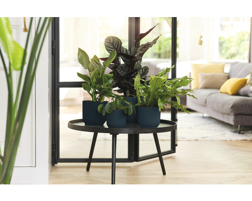 Elho Vibes opvouwbare plantenbak, kunststof, Ø 14,1 cm, H 12,9 cm, diepblauw