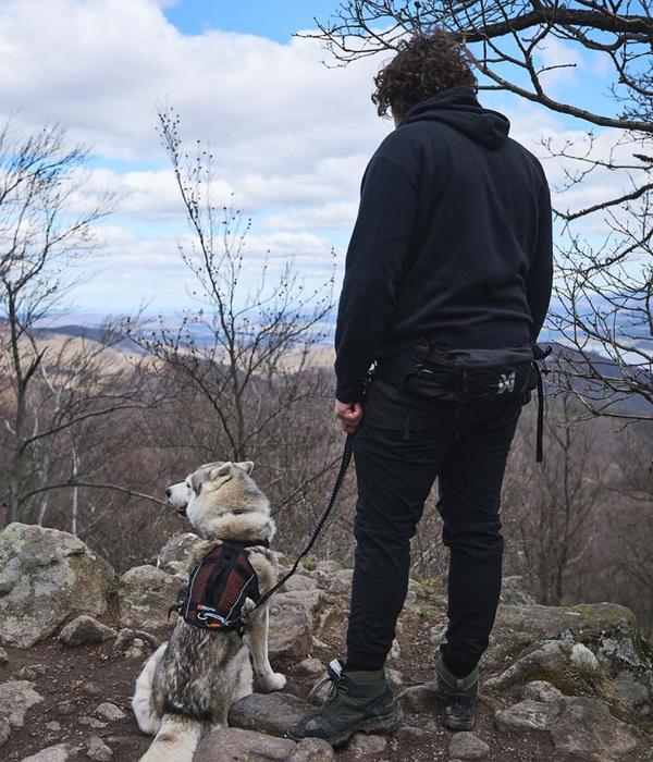 Non-stop dogwear Bauch-Laufgurt Trail light