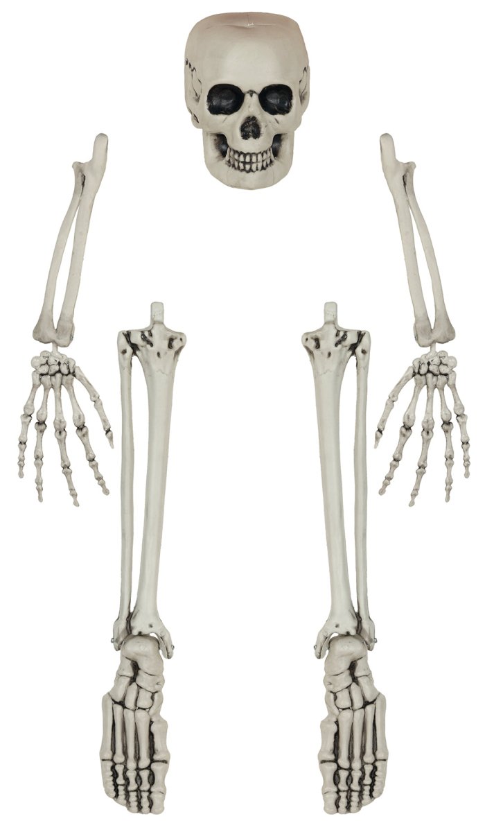 Halloween Skelet Botten 5 delig