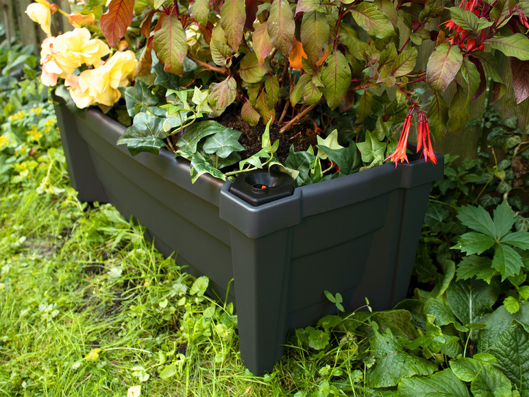 Plantenbak met wielen