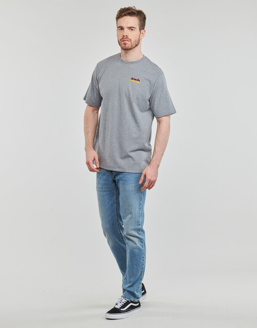 Patagonia - M'S FITZ ROY WILD RESPONSIBILI-TEE Gris