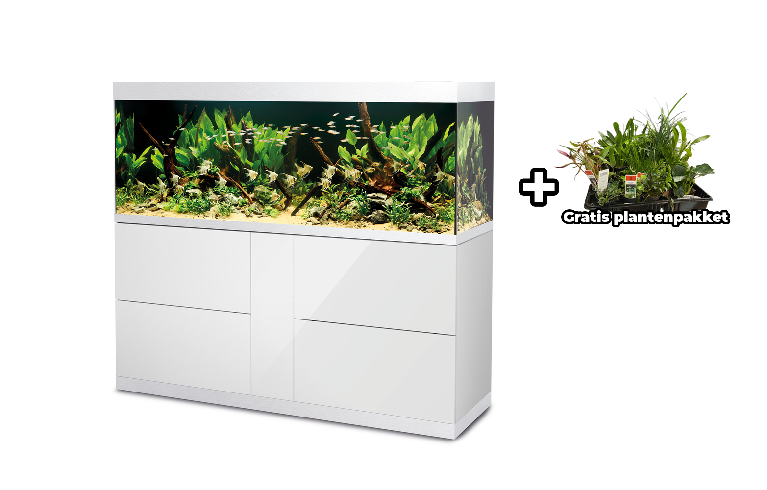 Oase HighLine 600 Optiwhite Set Wit | Nieuwe aquaria