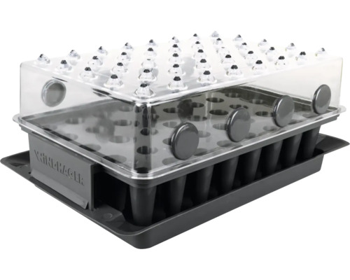 Windhager RootXtender 3-in-1 binnenkas, 3-delige set met bodembak, zaaibak en deksel voor het kweken van maximaal 40 zaailingen, ca. 38 x 16 x 24 cm