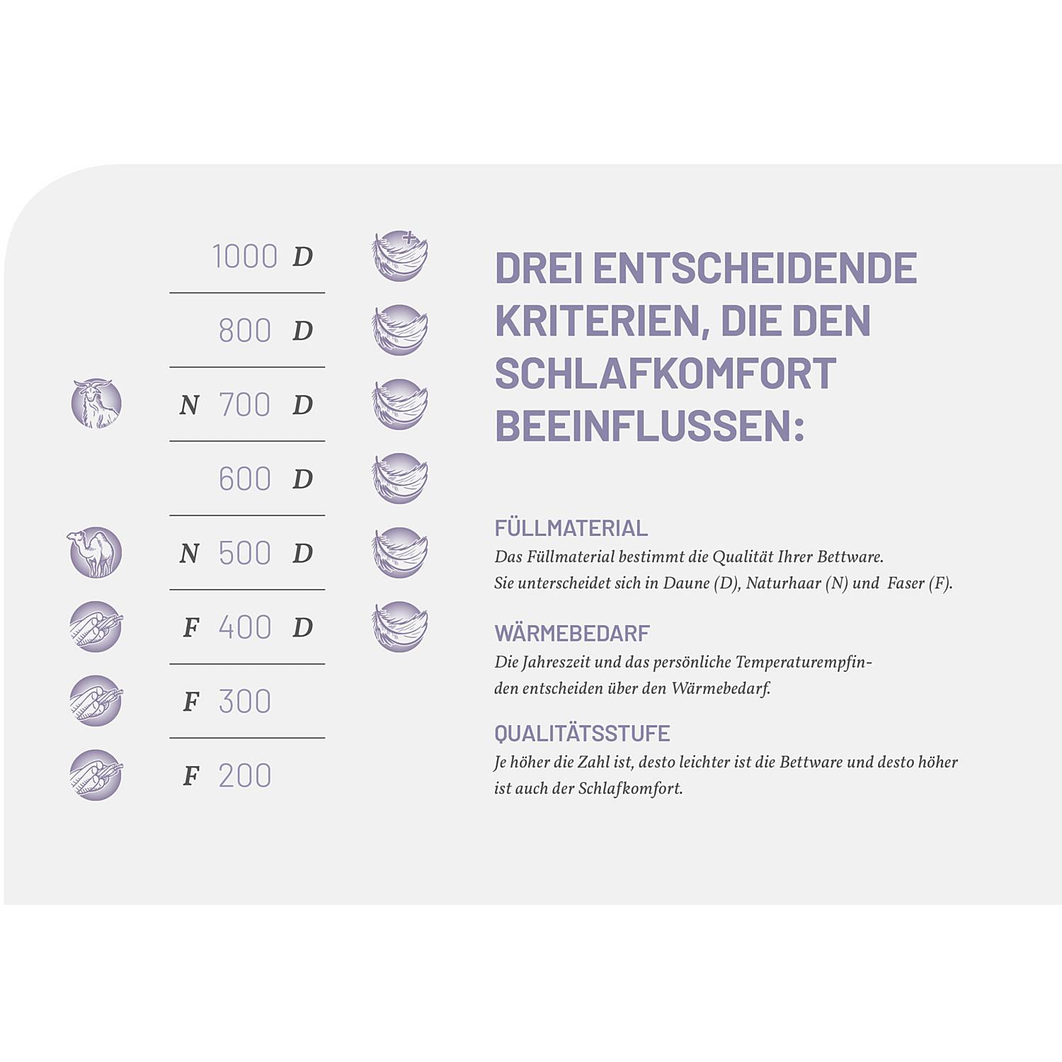 Schlafstil Daunen-Einziehdecke D600
