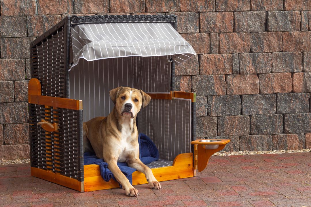 Hundestrandkorb