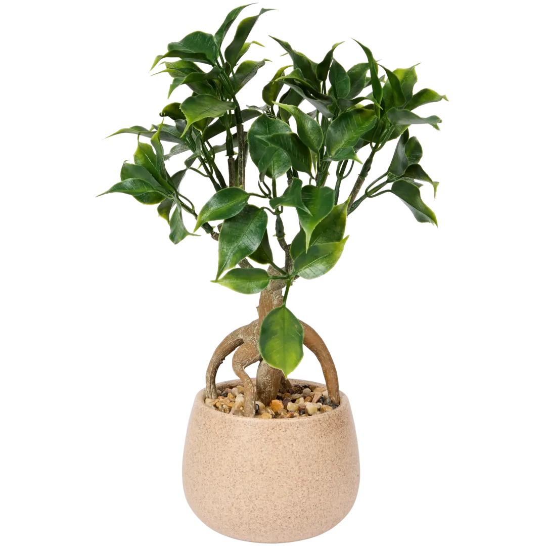 Ficus artificiel Excellent Flowers