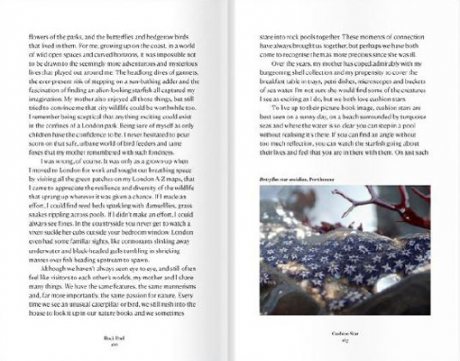 Rock Pool: Extraordinary Encounters Between the Tides (Paperback)