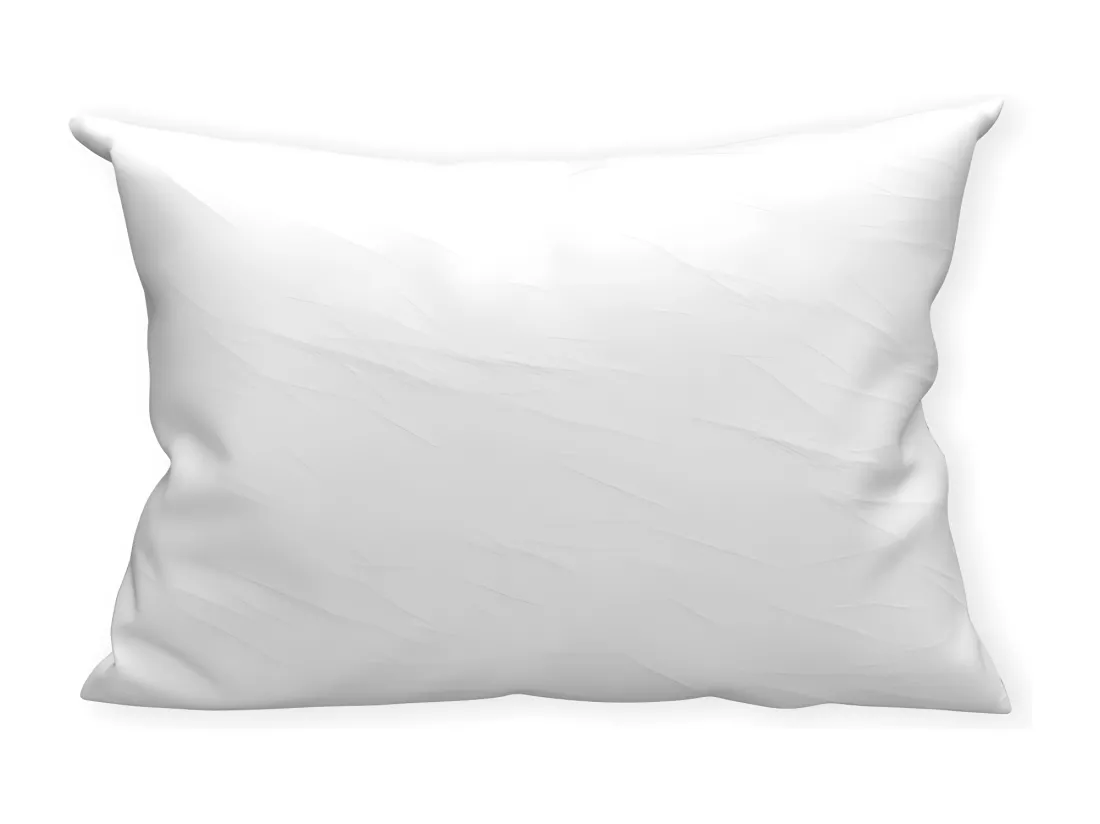 Taie protège oreiller 50X70 cm EPONGE imperméable