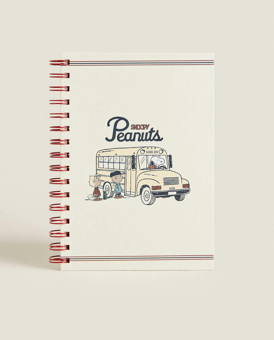 AMENDOIM? CADERNO