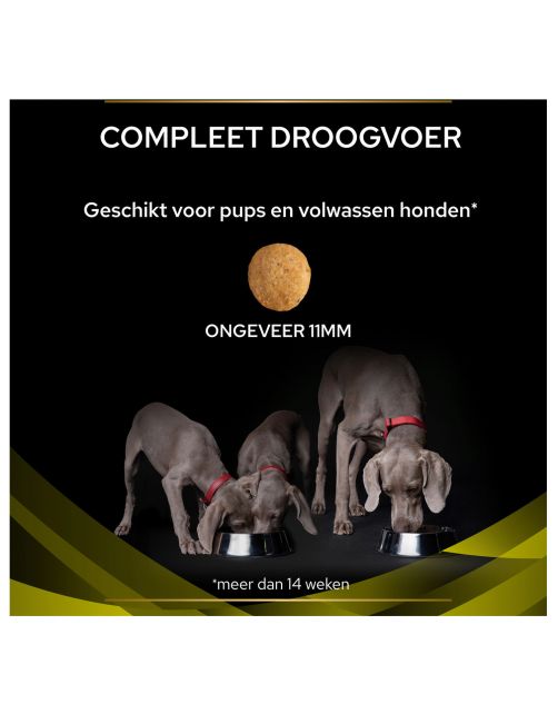 Pro Plan Veterinary Diets Canine Hp Hepatic - Hondenvoer - 3 kg