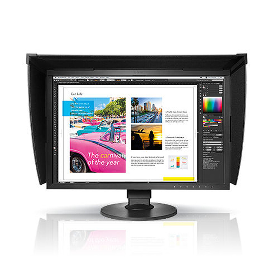 Eizo ColorEdge CG2420-BK