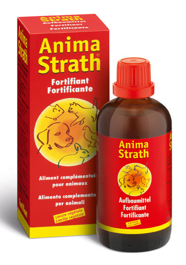 STRATH liq Fl 250 ml<br>250 ml, Flasche, flüssig
