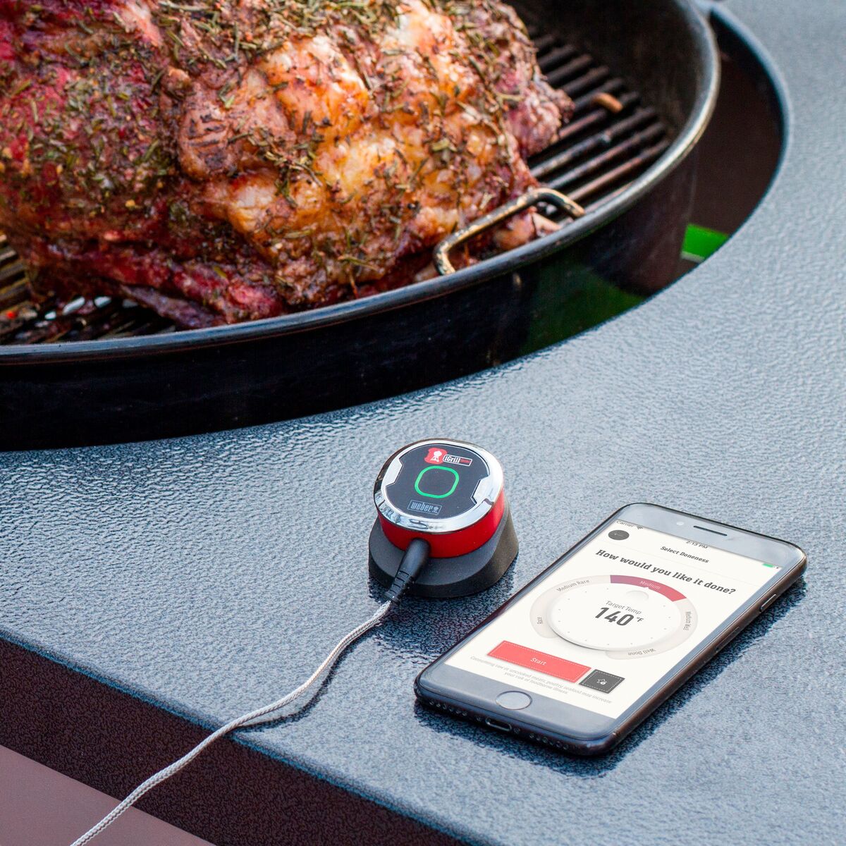 iGrill Mini