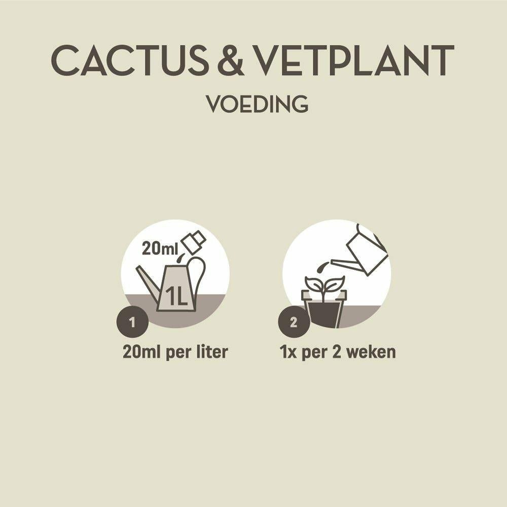 Engrais cactus et succulentes - 250ml