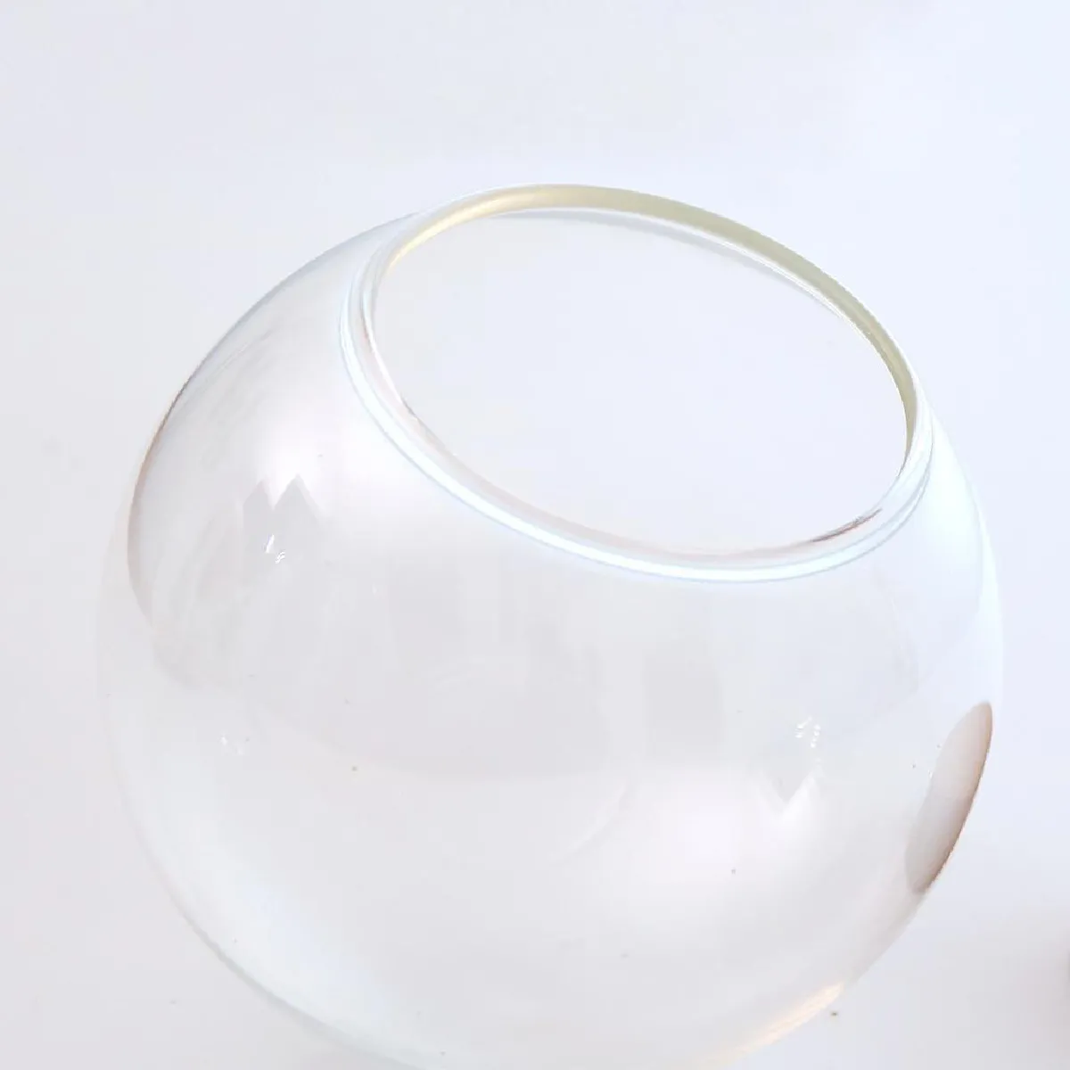 Boule de Verre Terrarium