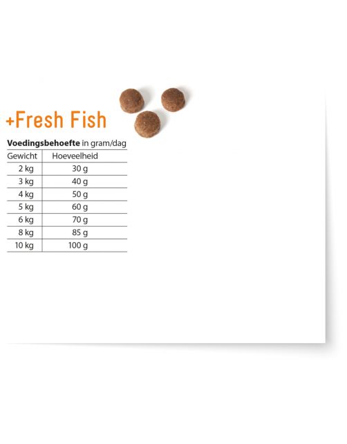 Fokker Cat Fresh Fish Zalm - Kattenvoer
