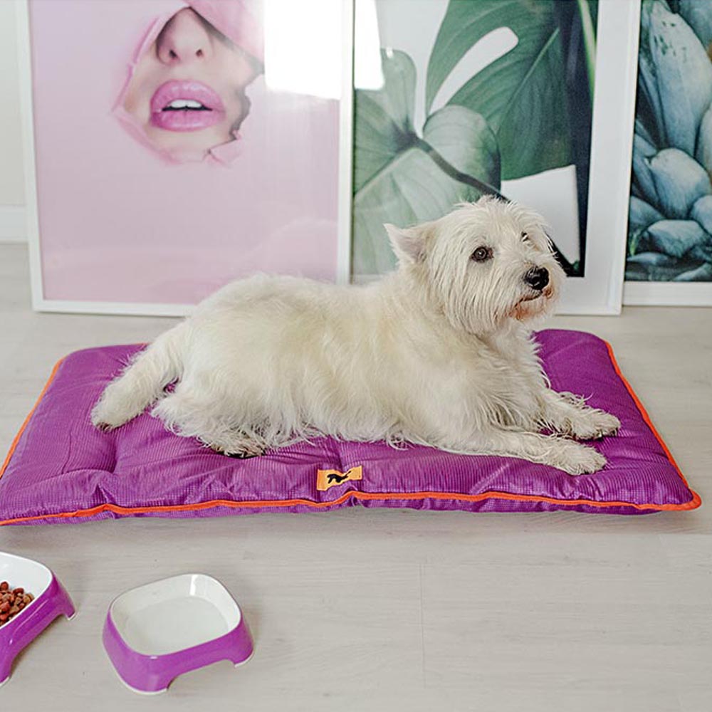 Ferplast panier pour chien chat - lit chien petit lavable - matelas chien - coussin chien chat - imperméable & anti-rayures -