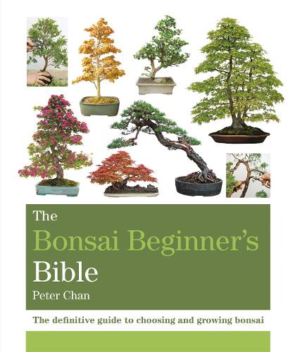 The Bonsai Beginner's Bible: The definitive guide to choosing and growing bonsai - Octopus Bible Series (Paperback)
