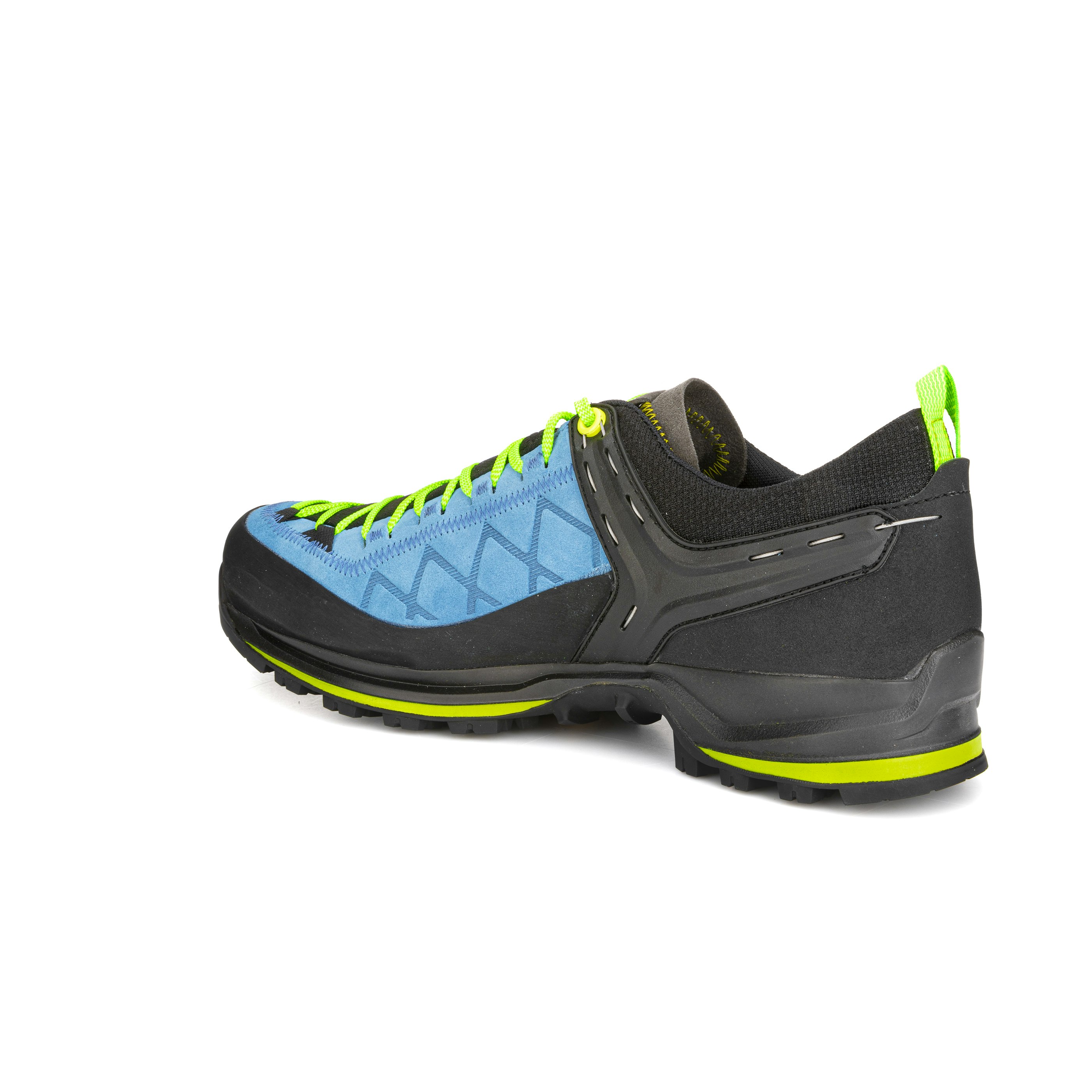 Mountain Trainer 2 GORE-TEX® Herrenschuhe
