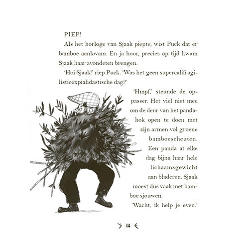 Uitgeverij condor een panda voor mijn verjaardag