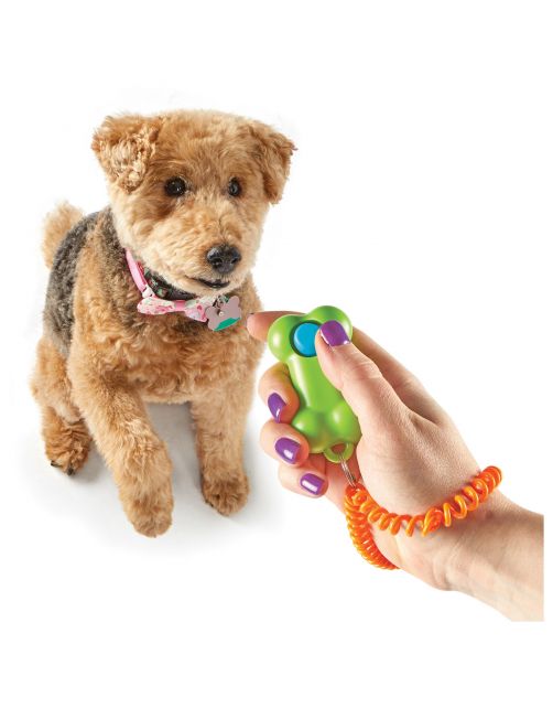 Brightkins Clicker Bone - Hondenopvoeding - Groen Oranje