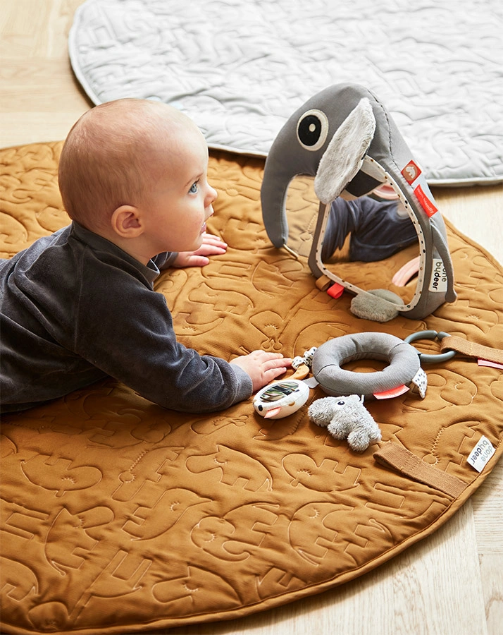 Activity-Spielzeug RING in grau