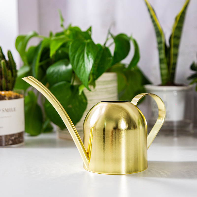 (500ml) Edelstahl Blumen Giesskanne Pflanzen Bewässerung Garten Spritz Kanne - Gold