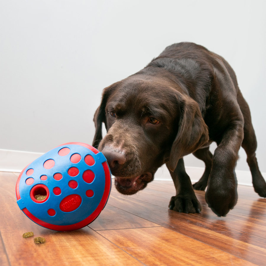 Brinquedo para cães Kong Rewards Wally