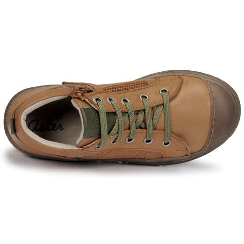Aster - BARNA - Camel