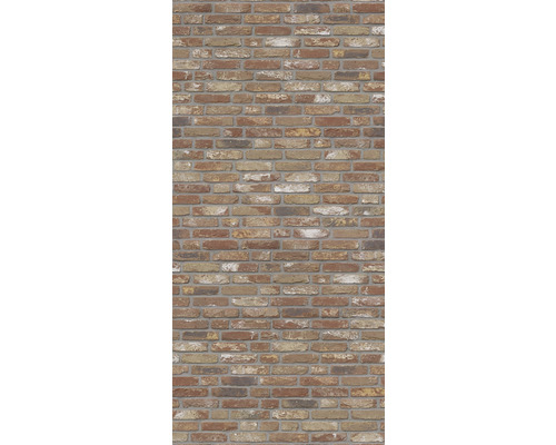 SCHULTE DecoDesign douchewandpaneel, baksteenrood, 210 x 100 cm, D1901021 624 210