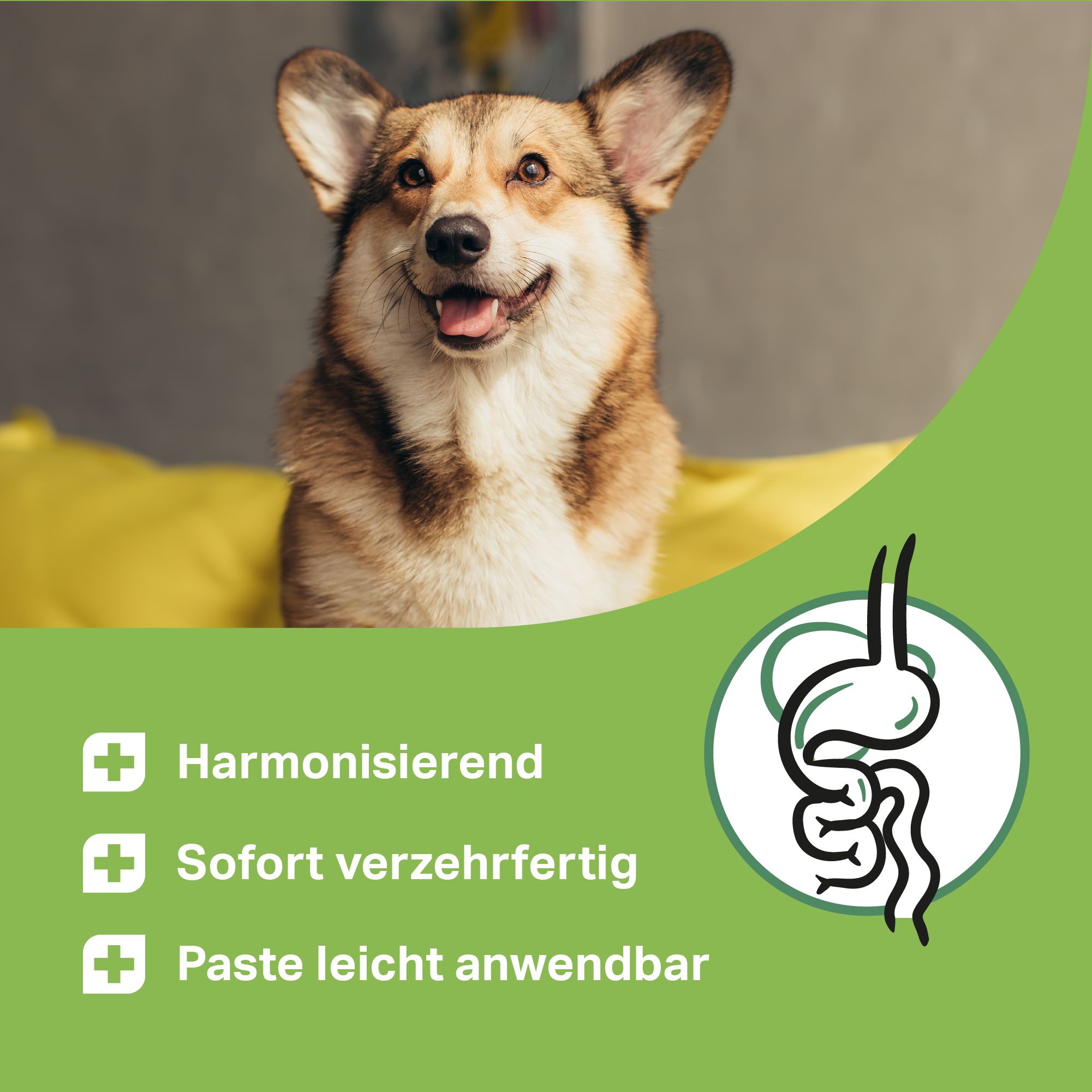 MEDIDOG Ulmenrinde Paste