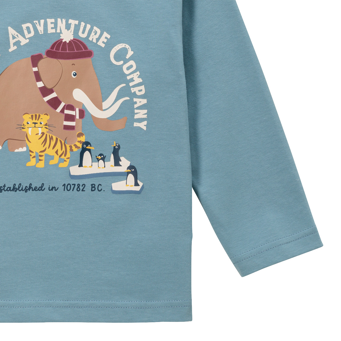 Topomini Baby Langarmshirt mit Print blau