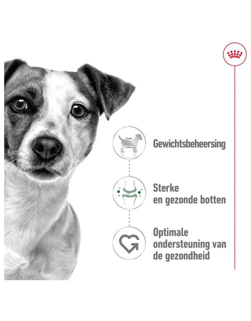 Royal Canin Mini Adult - Hondenvoer