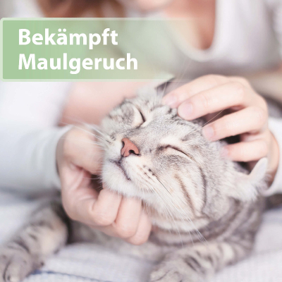 Felisept Zahnpflege Finger-Pads