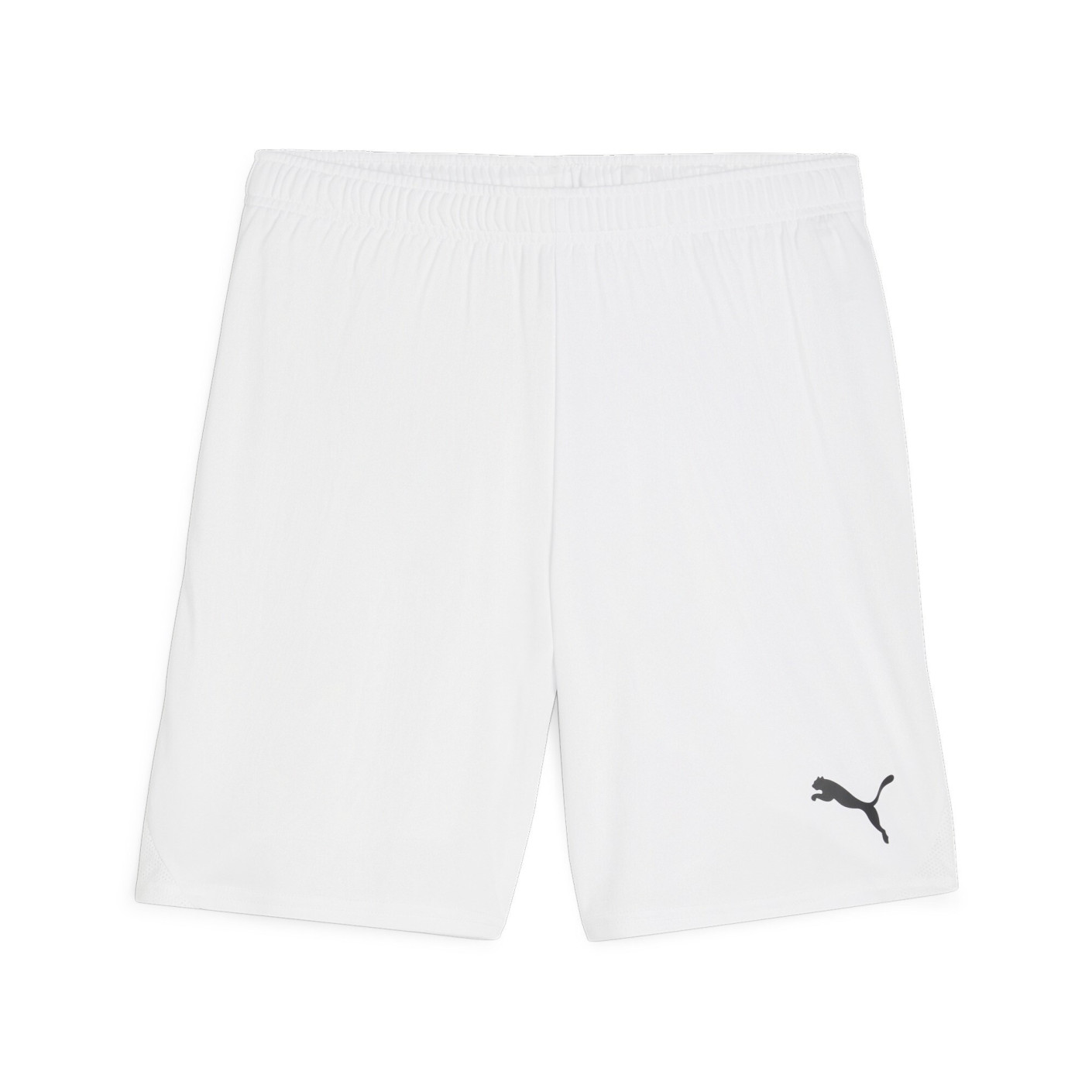 PUMA teamGOAL Matchday Voetbaltenue Wit Zwart