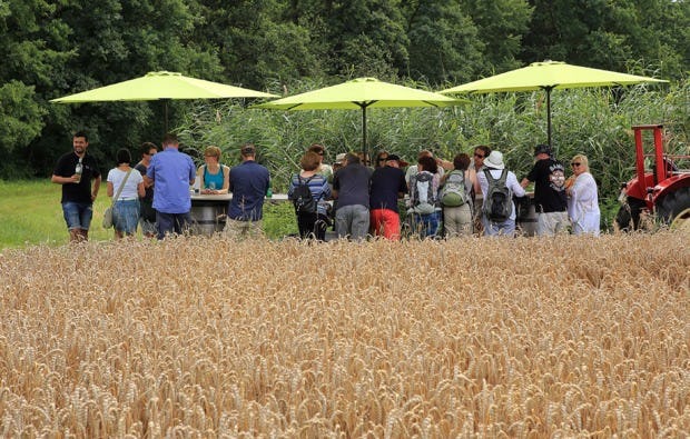 Weinprobe Schweinfurt