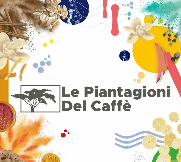 250 g- Café en grain Dambi Uddo - LE PIANTAGIONI DEL CAFFE