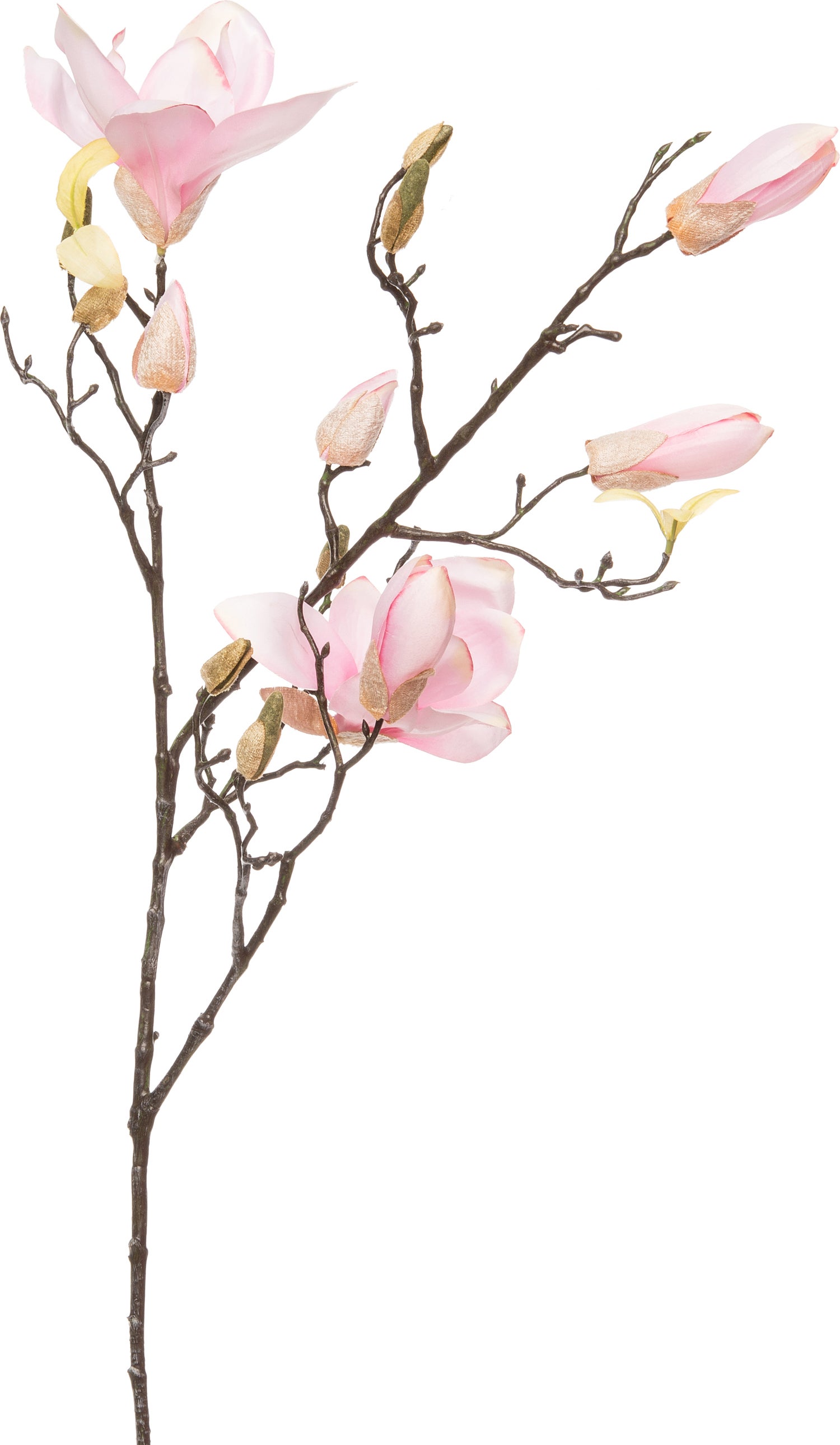 Intratuin kunsttak Magnolia roze H 95 cm