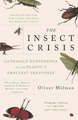 The Insect Crisis: Our Fragile Dependence on the Planet's Smallest Creatures (Paperback)