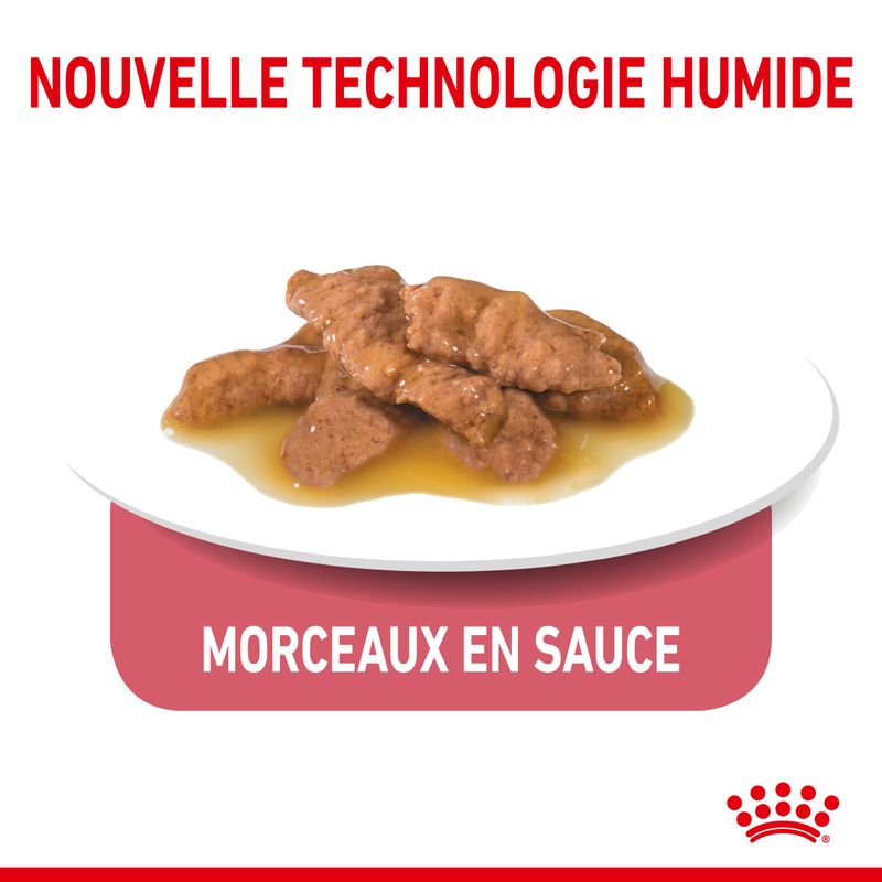Royal Canin Indoor Sterilised en sauce
