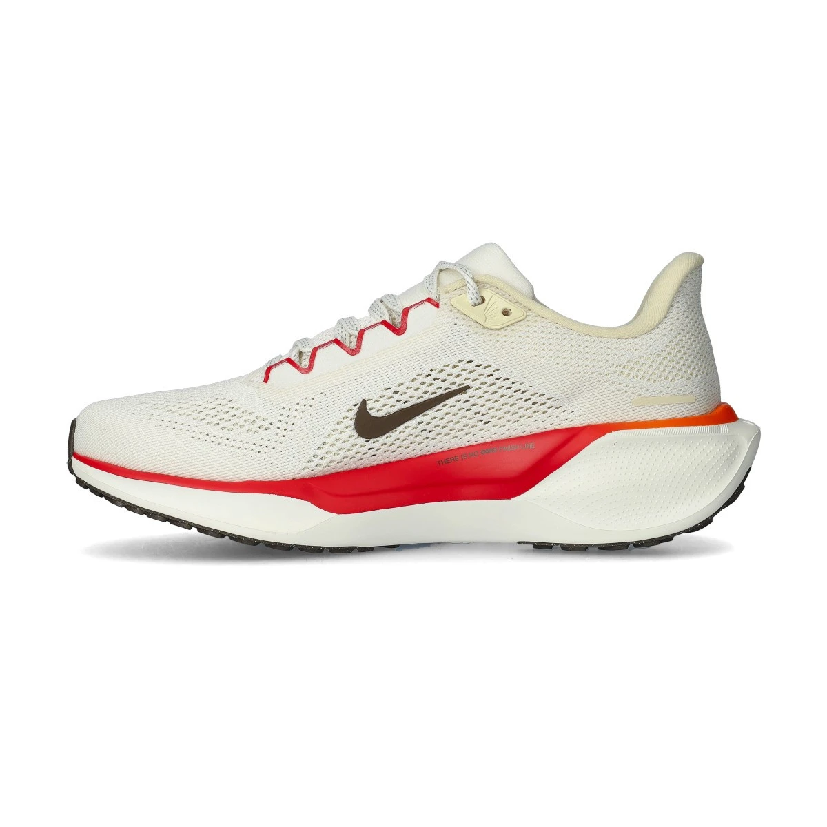 Sapatilha Nike Pegasus 41 Mulher